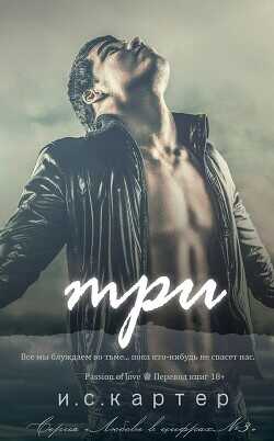 Три (ЛП) - Картер И. С.