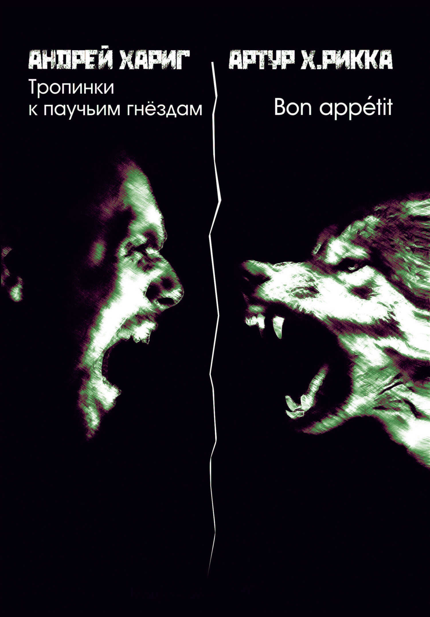 Тропинки к паучьим гнездам - Артур Х. Рикка