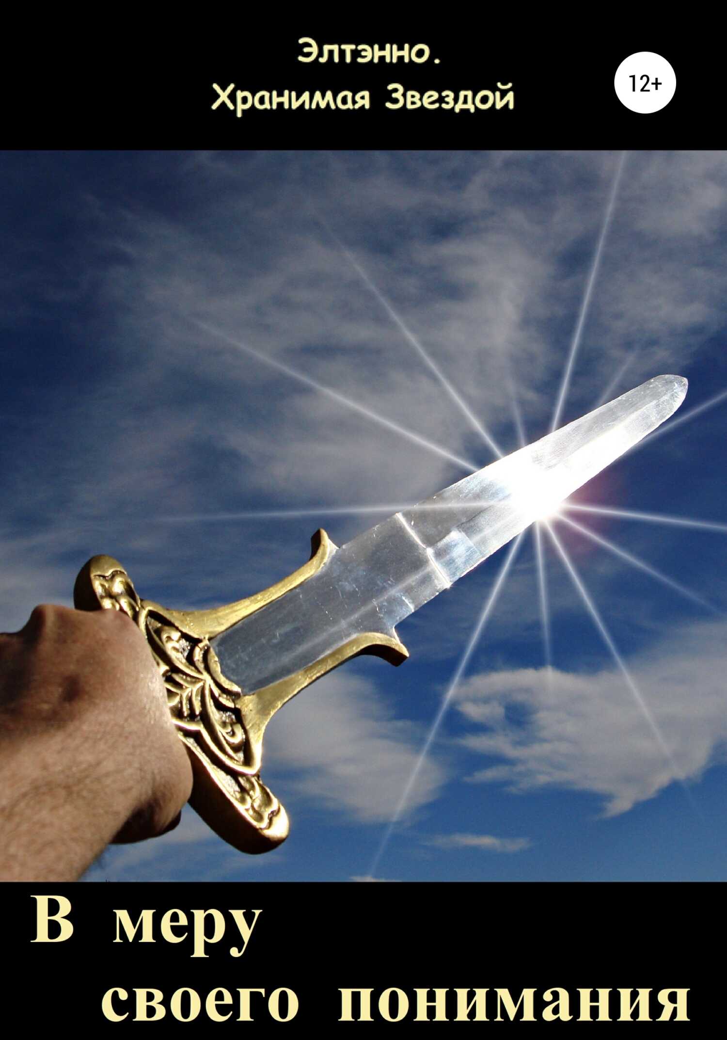 В меру своего понимания - Елена Тихомирова