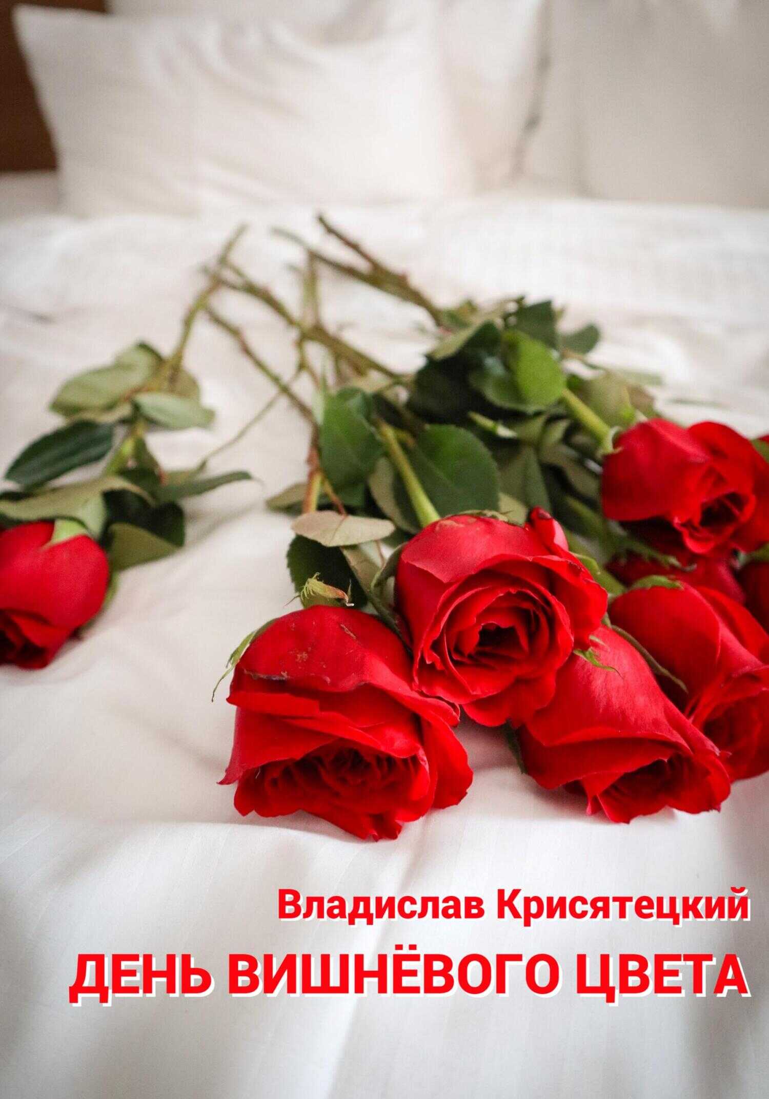 День вишневого цвета - Владислав Крисятецкий