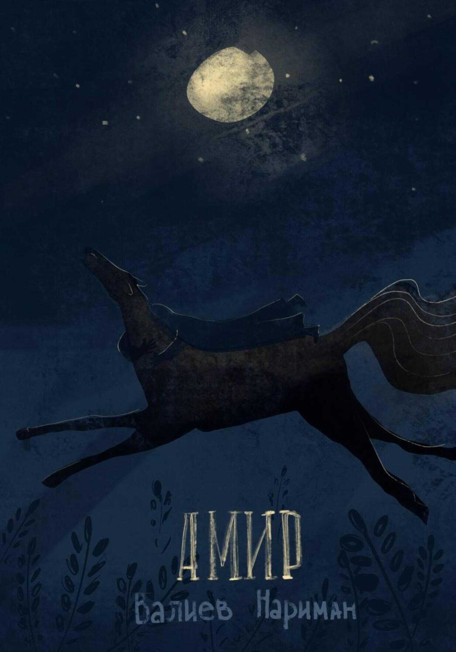 Амир - Валиев Нариман