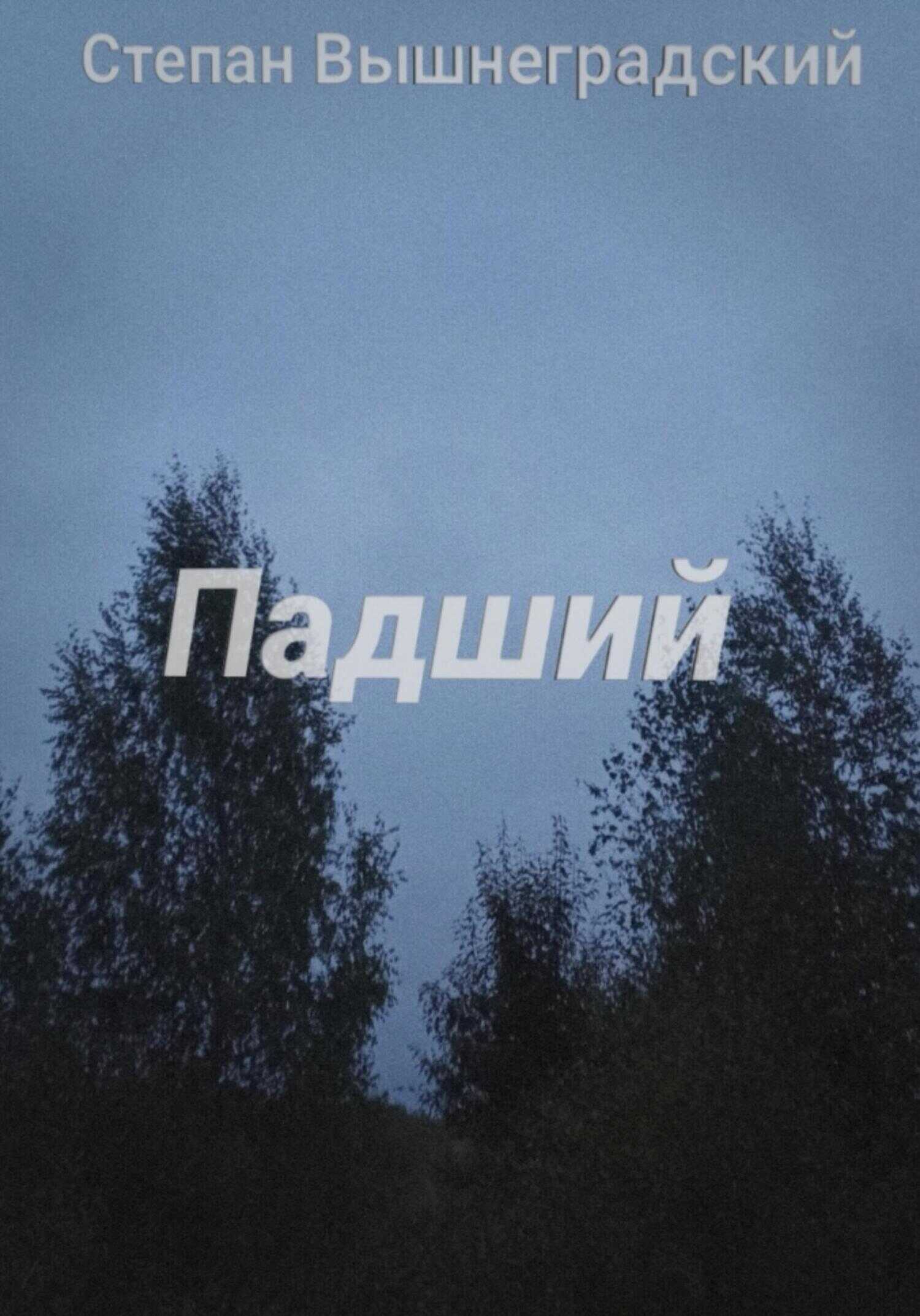 Падший - Степан Вышнеградский