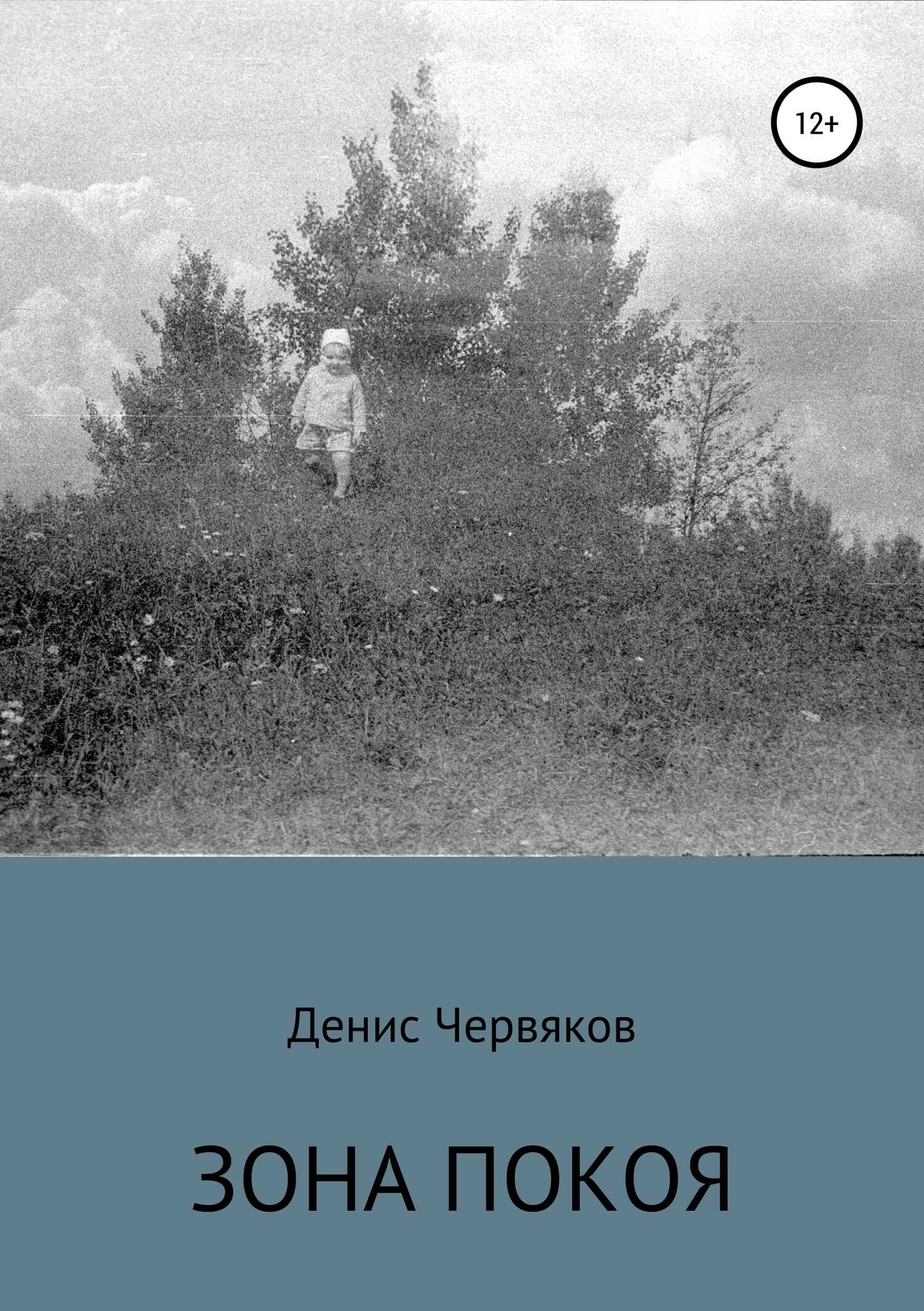 Зона покоя - Денис Владимирович Червяков