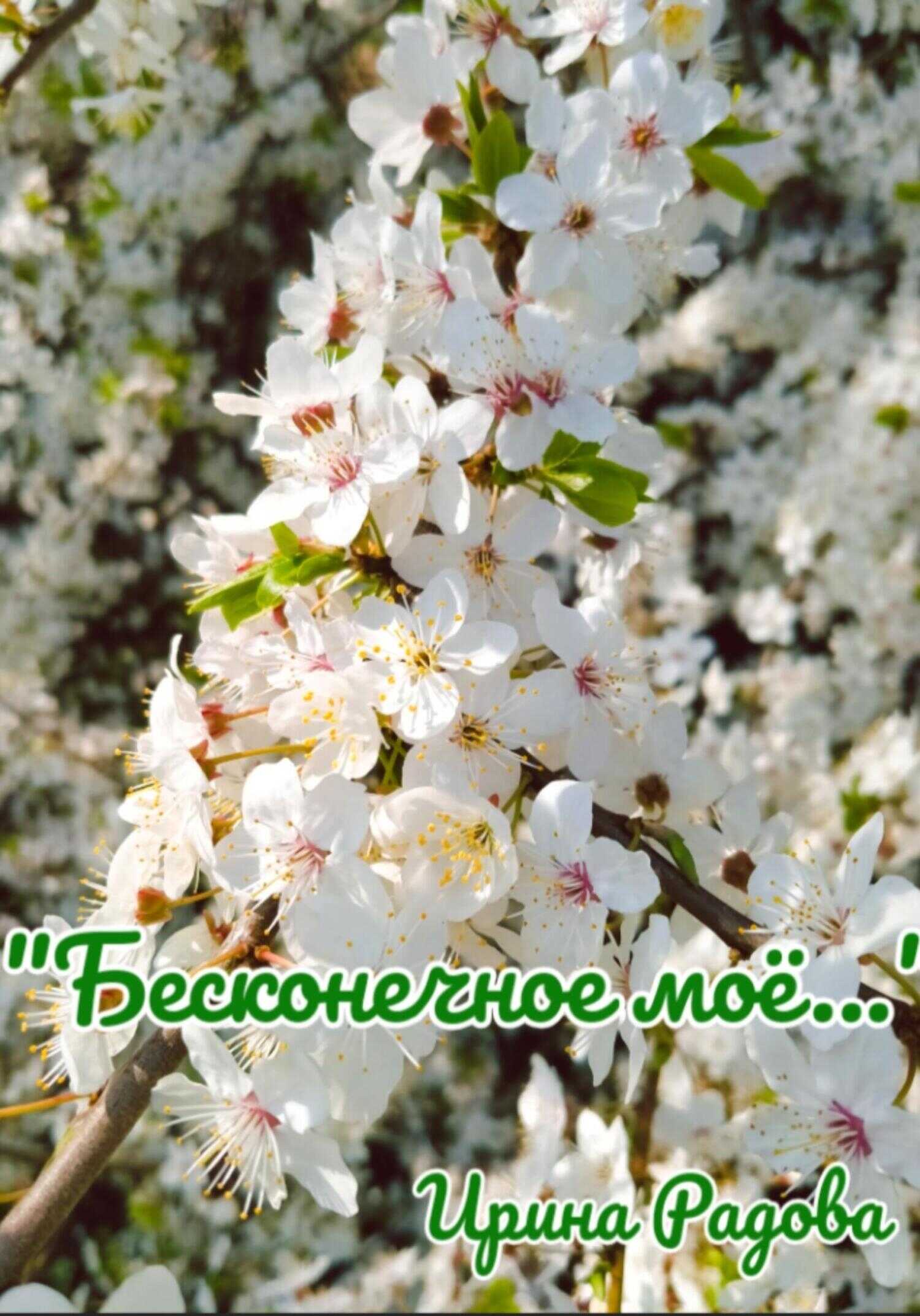 Бесконечное моё… - Ирина Радова