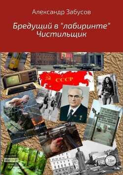 Бредущий в «лабиринте». Книга 2. Чистильщик  - Забусов Александр