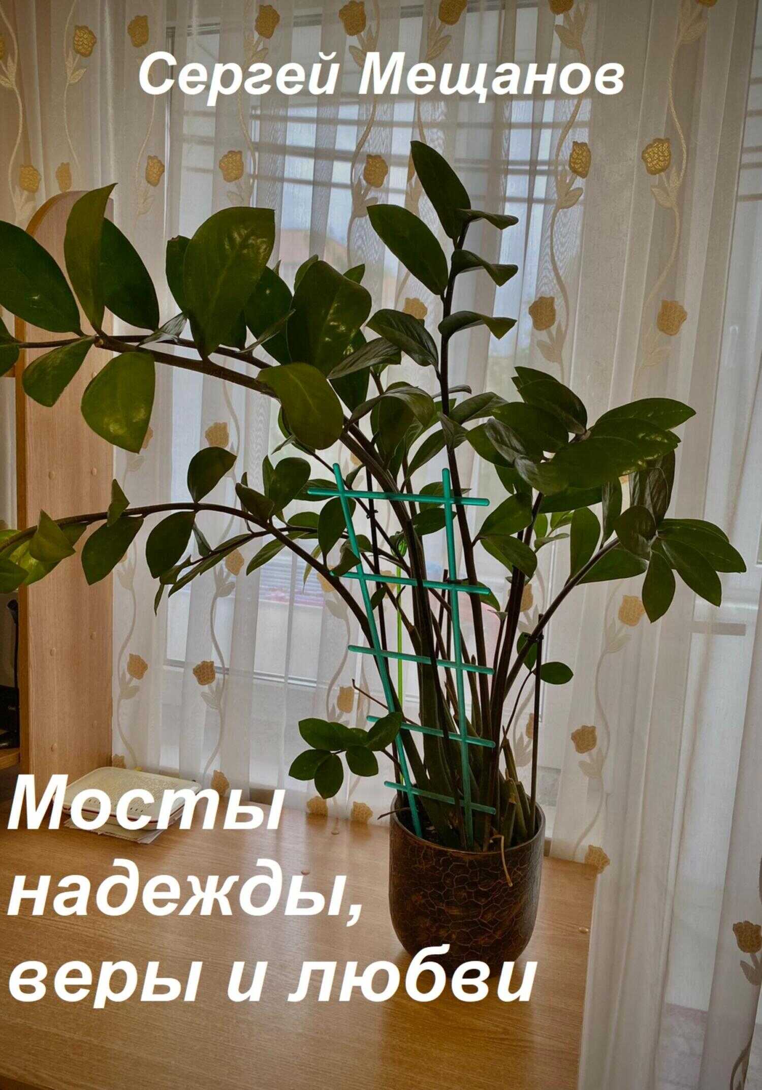 Мосты надежды, веры и любви - Сергей Алексеевич Мещанов