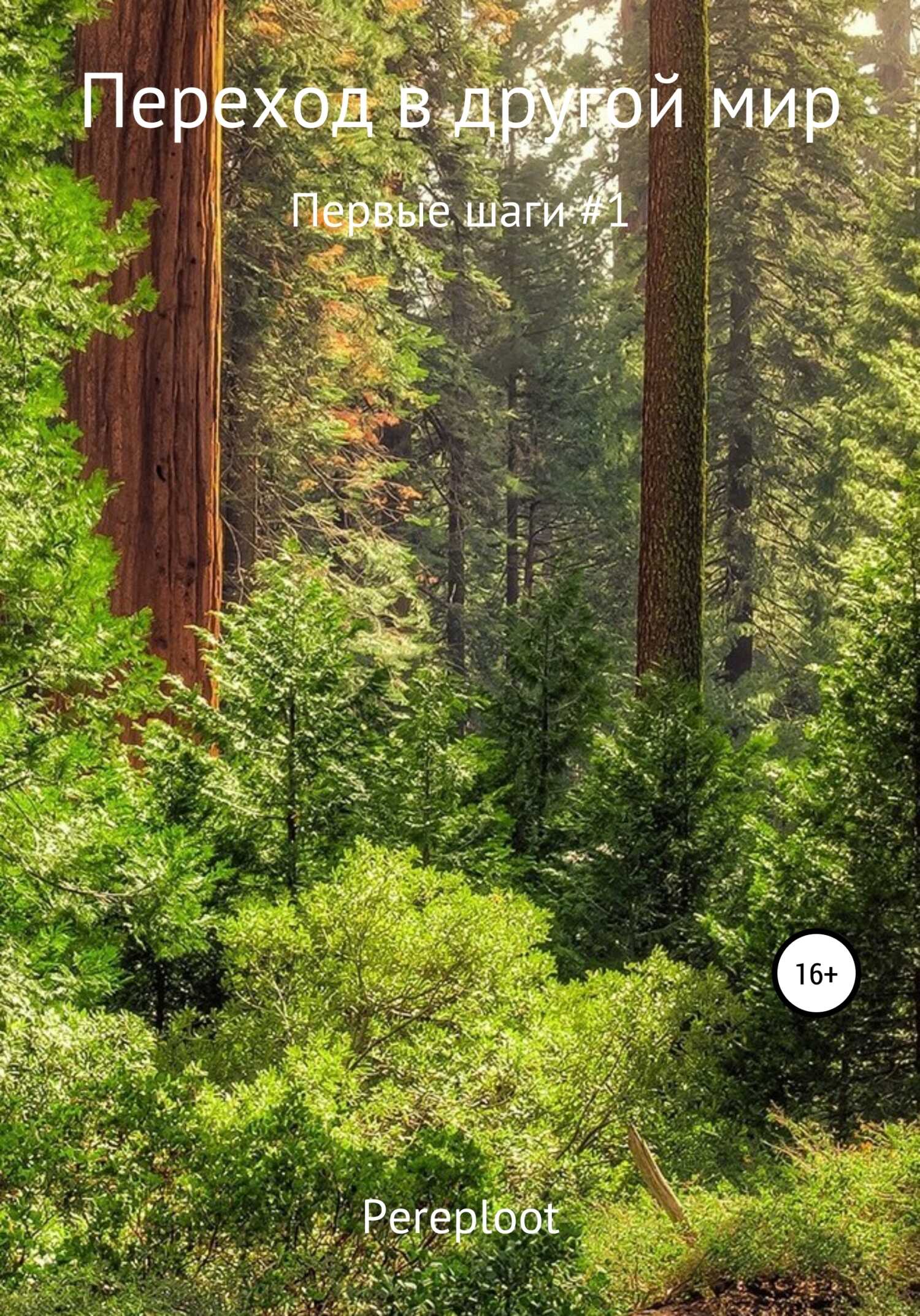 Переход в другой мир. Первые шаги #1 - Pereploot