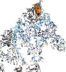 Замуж за короля? Ни за что! - Анна Соломахина