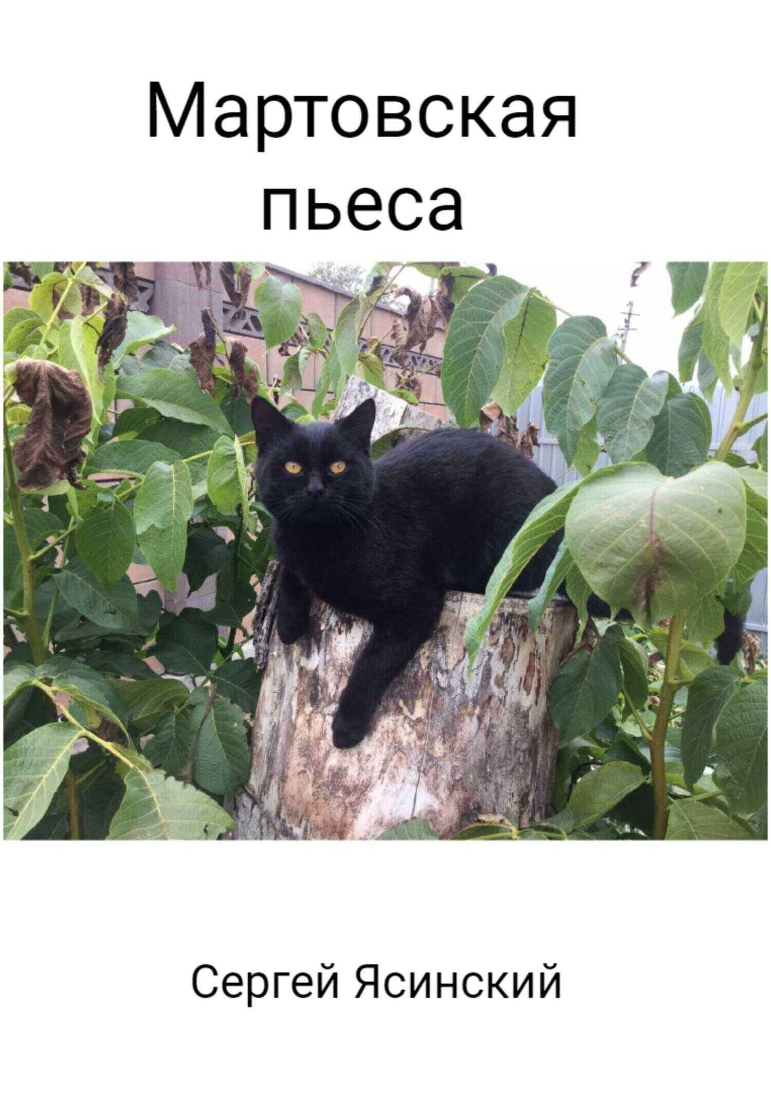 Мартовская пьеса - Сергей Леонидович Ясинский