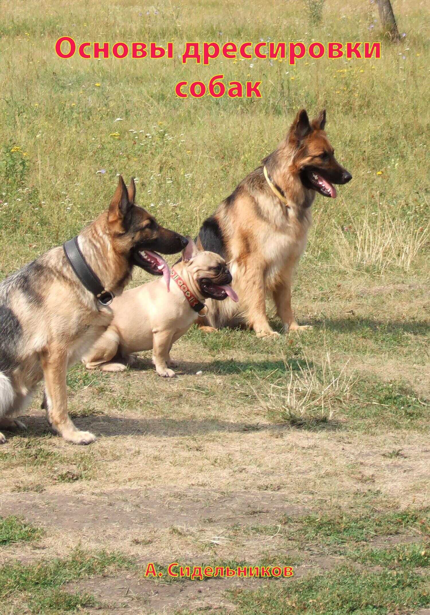 Основы дрессировки собак - Андрей Сидельников
