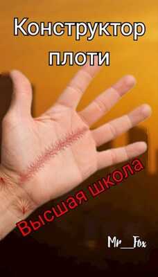 Конструктор плоти 1. Высшая школа - Mr_Fox
