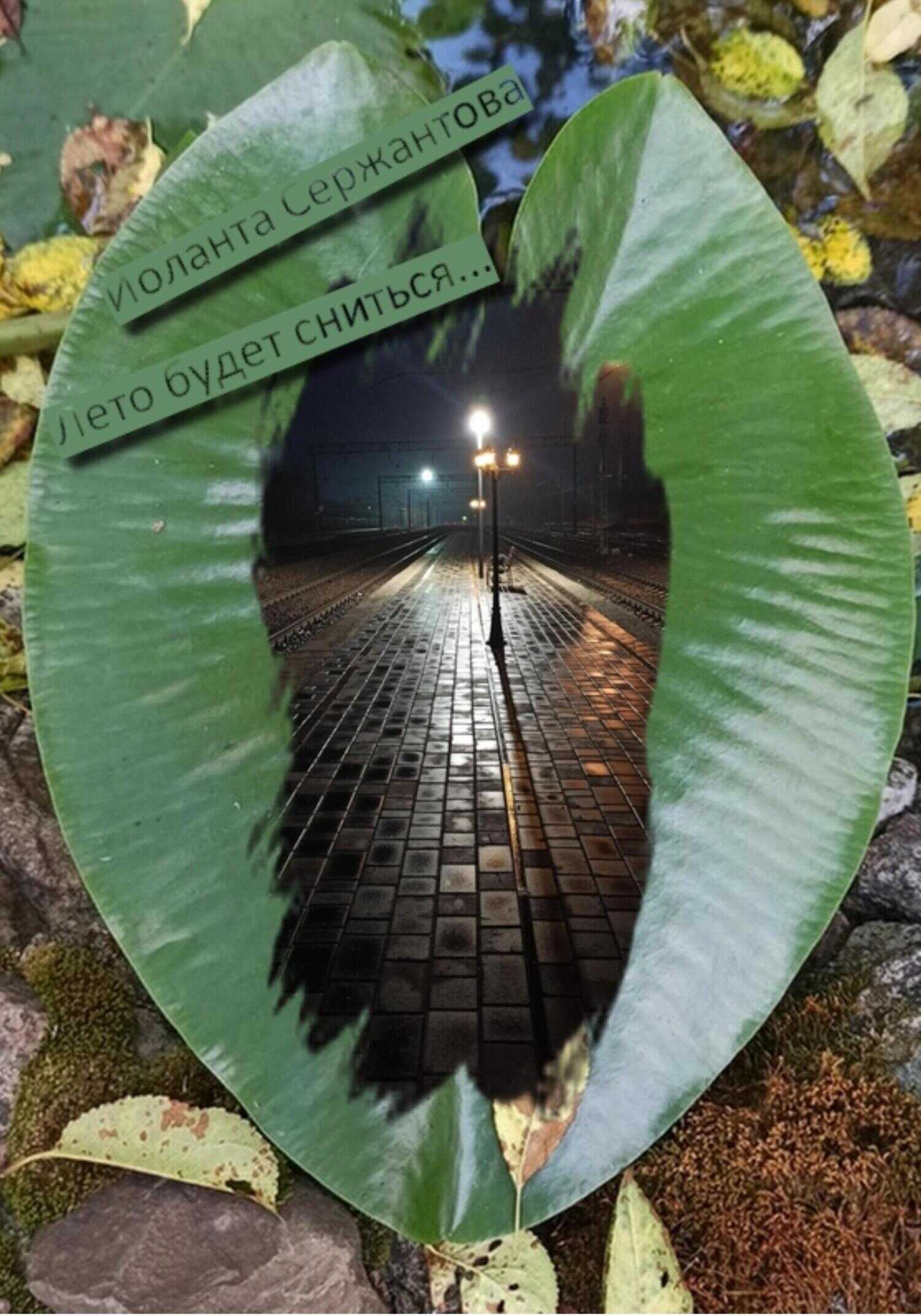 Лето будет сниться… - Иоланта Ариковна Сержантова