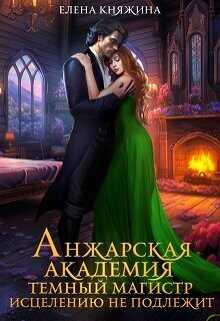Анжарская академия. Темный магистр исцелению не подлежит  - Княжина Елена
