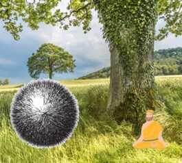 Одиночка - Эдвард Март