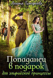 Попаданец в подарок для эльфийской принцессы  - Тимофеева Анюта