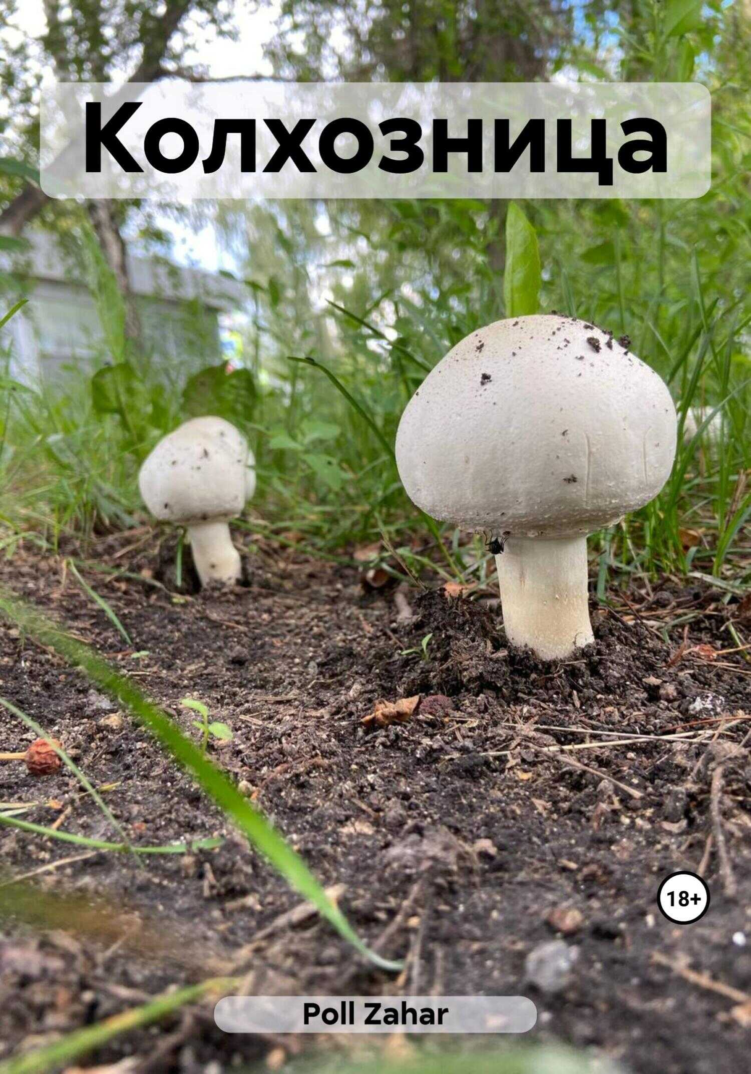 Колхозница - Zahar Poll