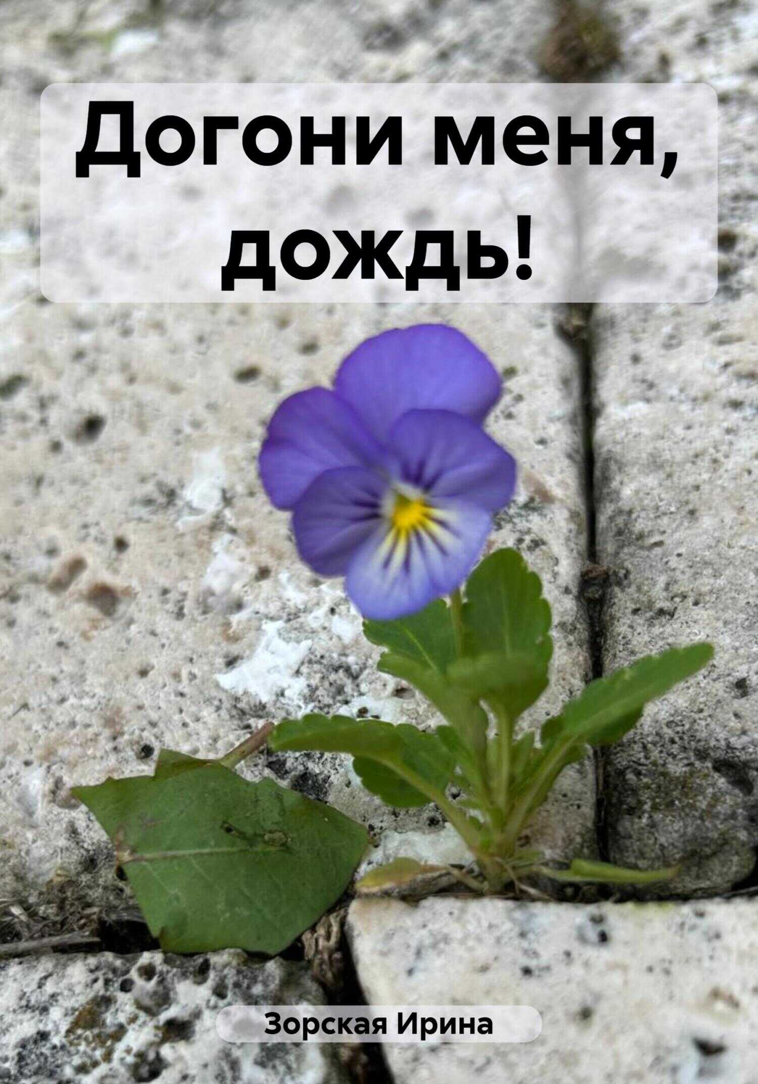 Догони меня, дождь! - Ирина Зорская