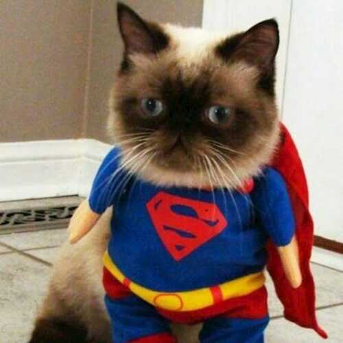 Герой - Клименко Тимофей