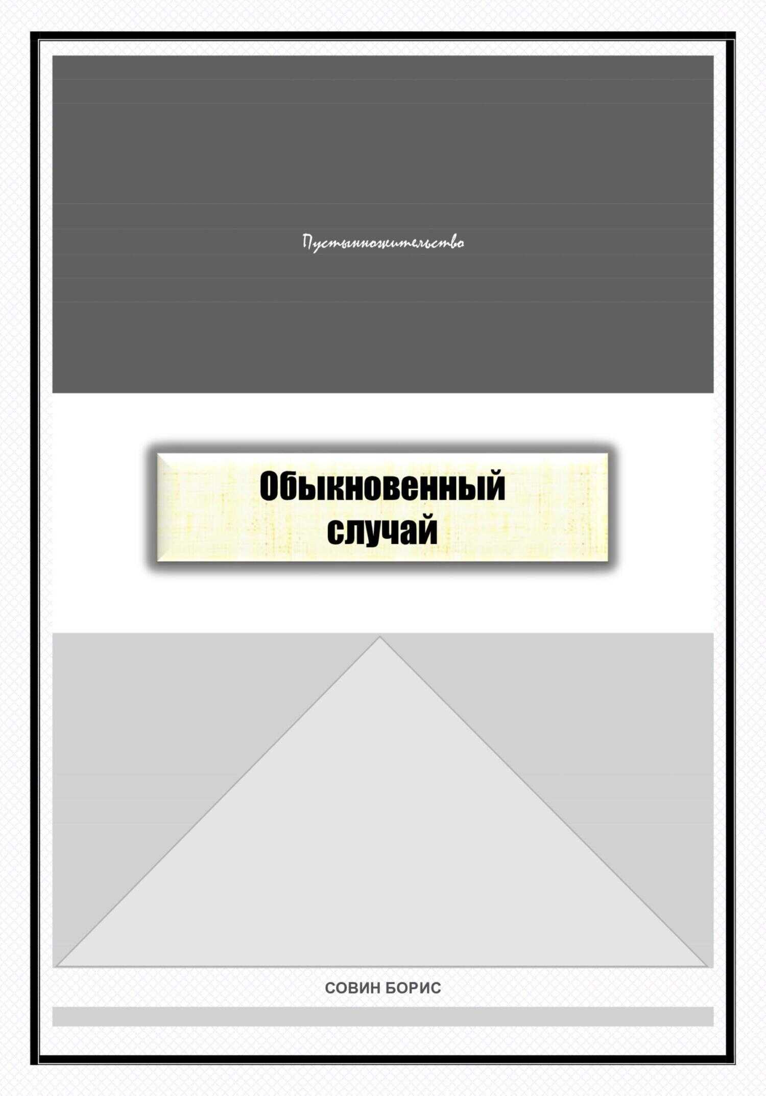 Обыкновенный случай - Борис Совин