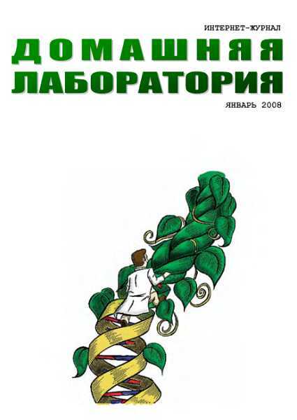 Интернет-журнал "Домашняя лаборатория", 2008 №1 - Журнал «Домашняя лаборатория»