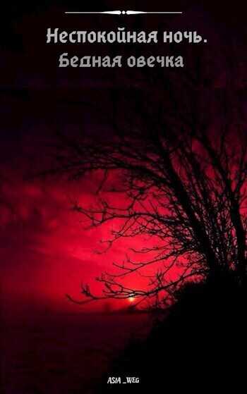 Бедная овечка  - Полищук