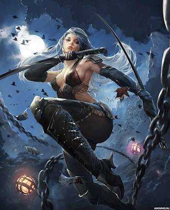 Дорога Воина  - Софья Шевцова