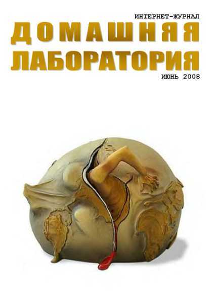 Интернет-журнал "Домашняя лаборатория", 2008 №6 - Журнал «Домашняя лаборатория»