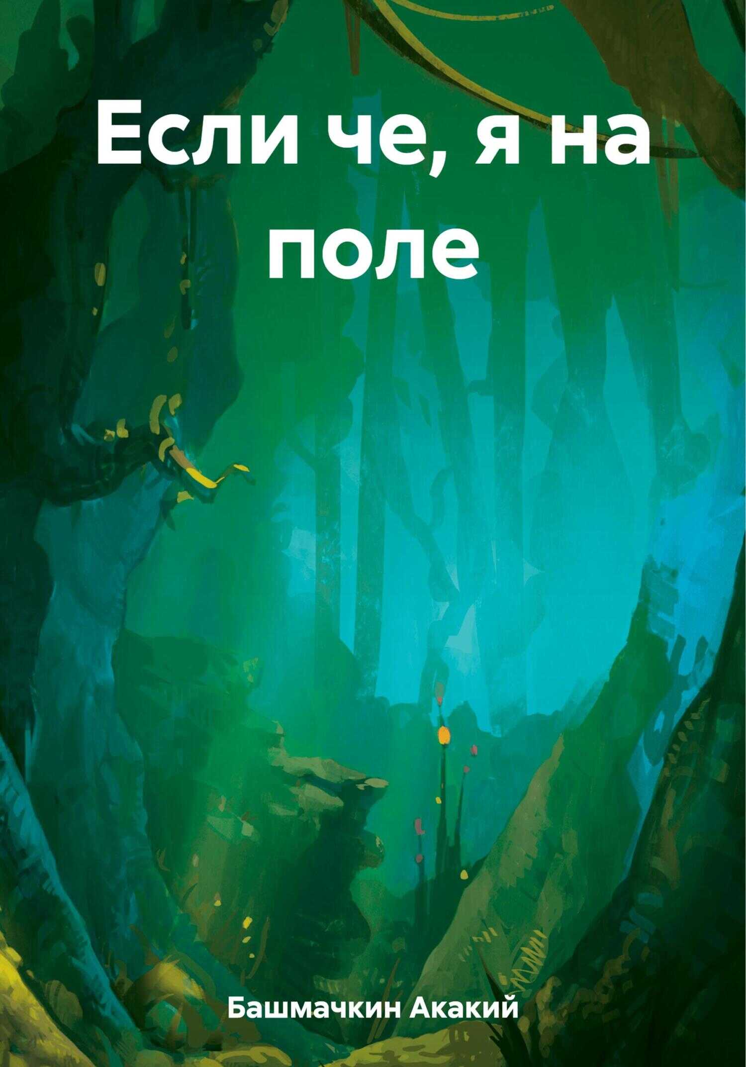 Если че, я на поле - Акакий Акакиевич Башмачкин