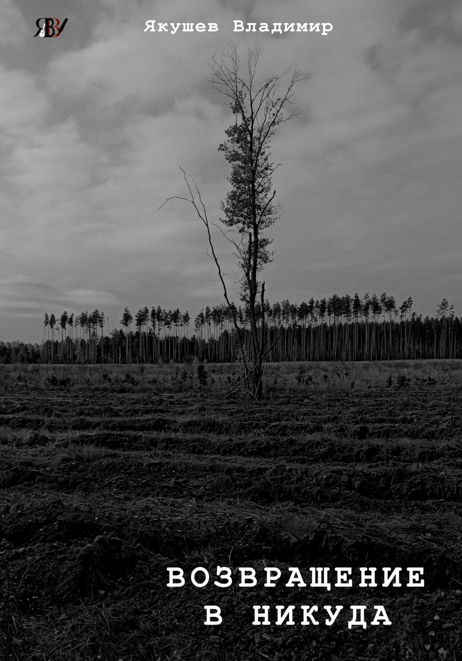 Возвращение в никуда - Владимир Валерьевич Якушев
