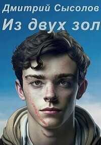 Из двух зол...  - Сысолов Дмитрий