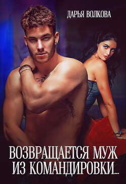 Возвращается муж из командировки…  - Волкова Дарья