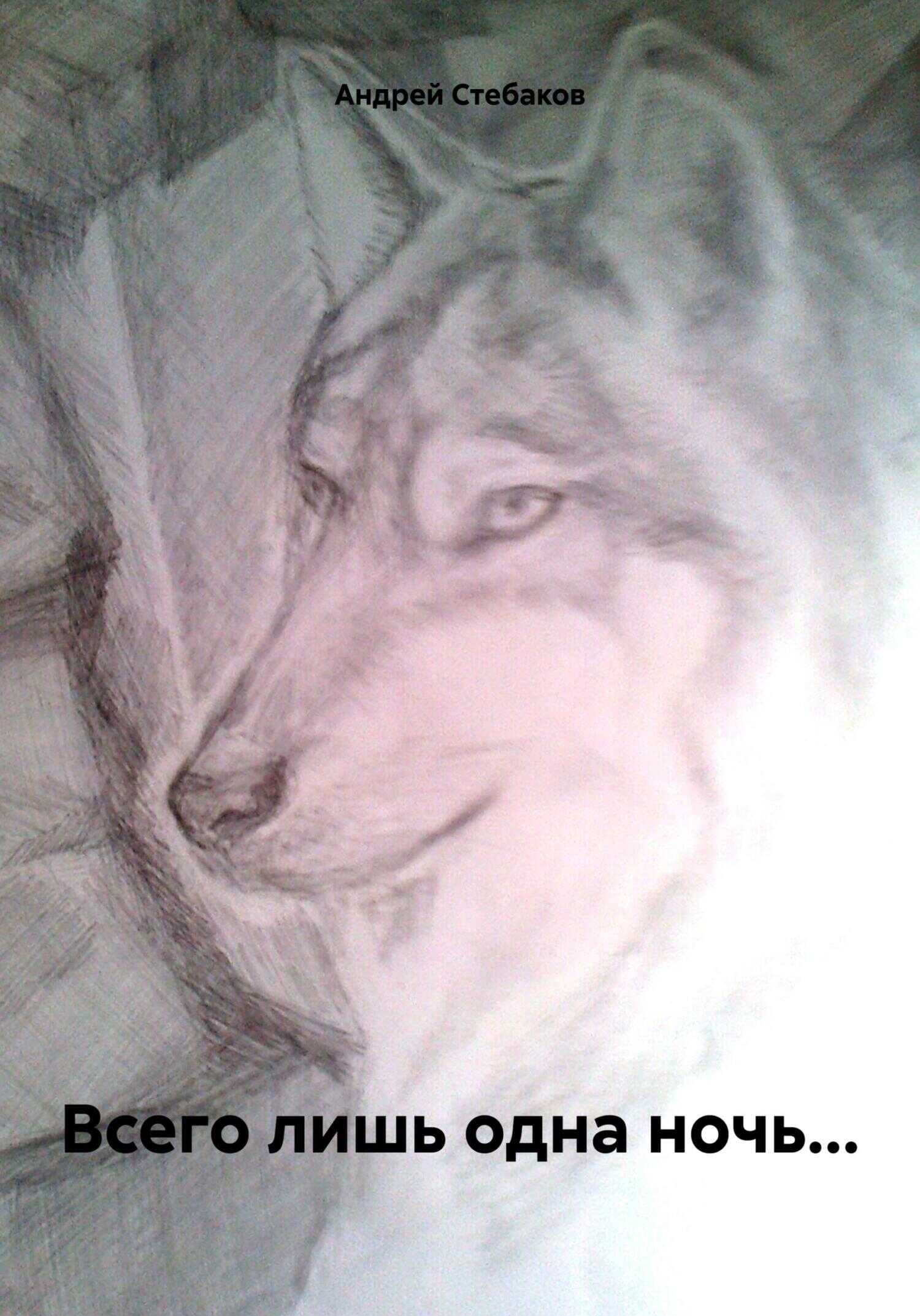 Всего лишь одна ночь… - Андрей Стебаков