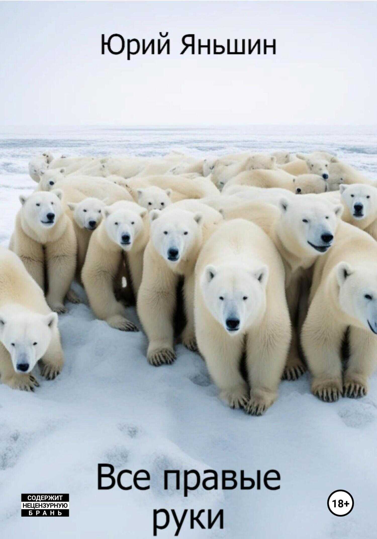 Все правые руки - Юрий Витальевич Яньшин