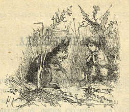 Мальчик-зайчик - Василий Петрович Авенариус