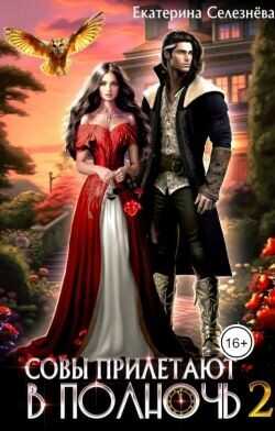 Совы прилетают в полночь 2  - Селезнёва Екатерина