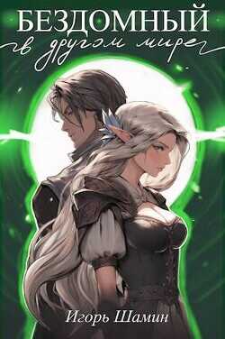 Бездомный в другом мире  - Шамин Игорь