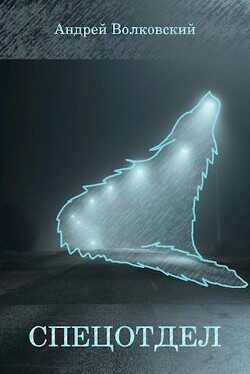 Спецотдел  - Волковский Андрей