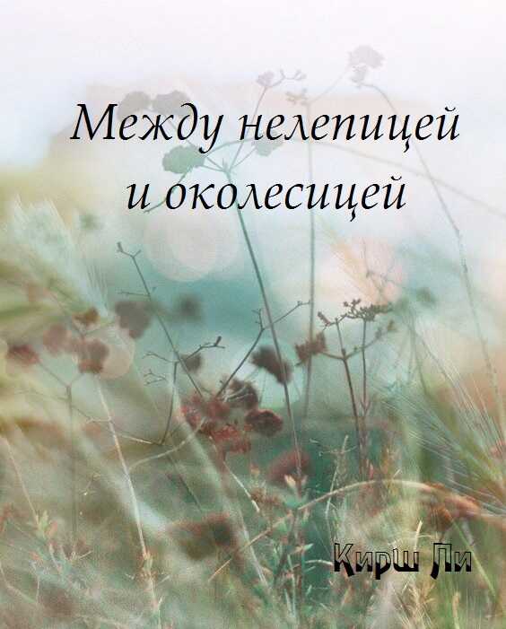 Между нелепицей и околесицей - Пользователь