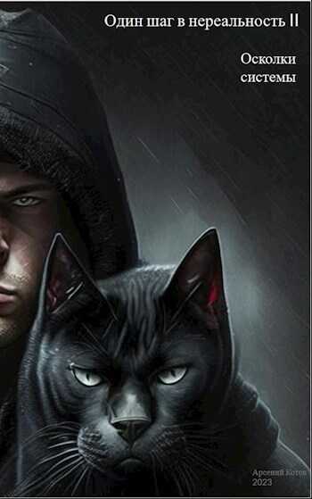 Осколки системы - Арсений Котов