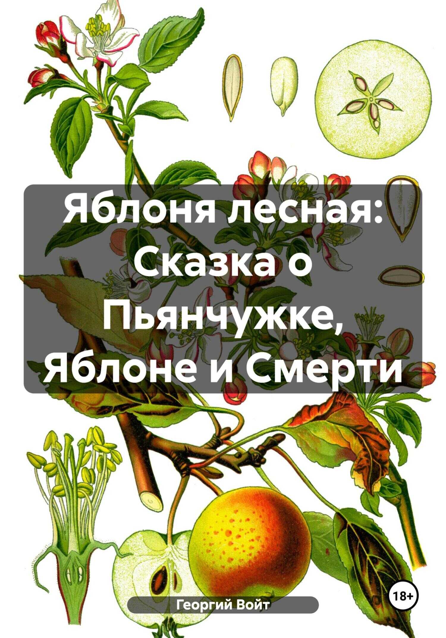 Яблоня лесная: Сказка о Пьянчужке, Яблоне и Смерти - Георгий Войт