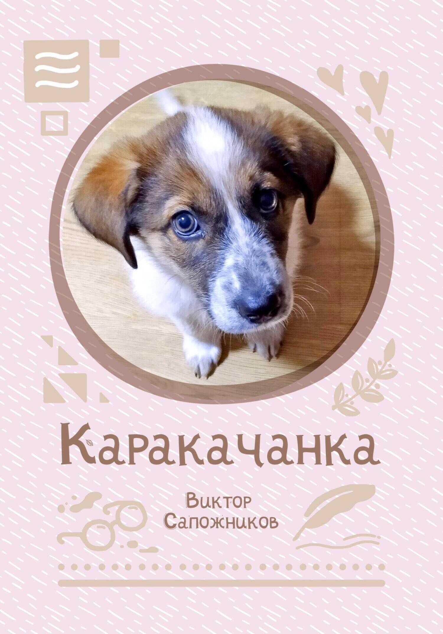 Каракачанка - Виктор Сапожников