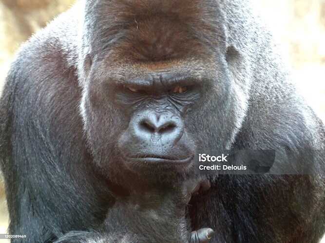 А вот Интересно - что, если... - AHAPX13