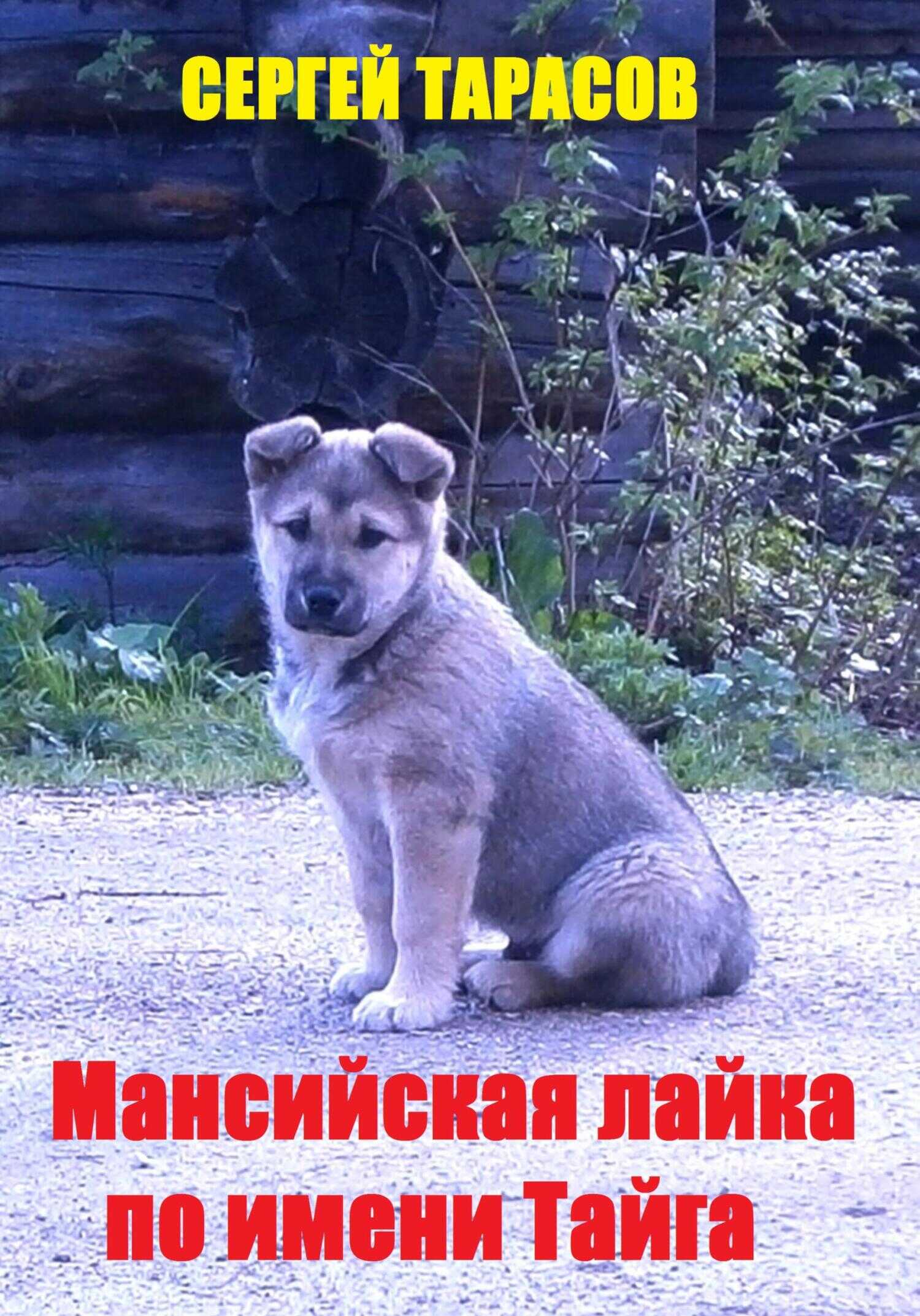 Мансийская лайка по имени Тайга - Сергей Тарасов