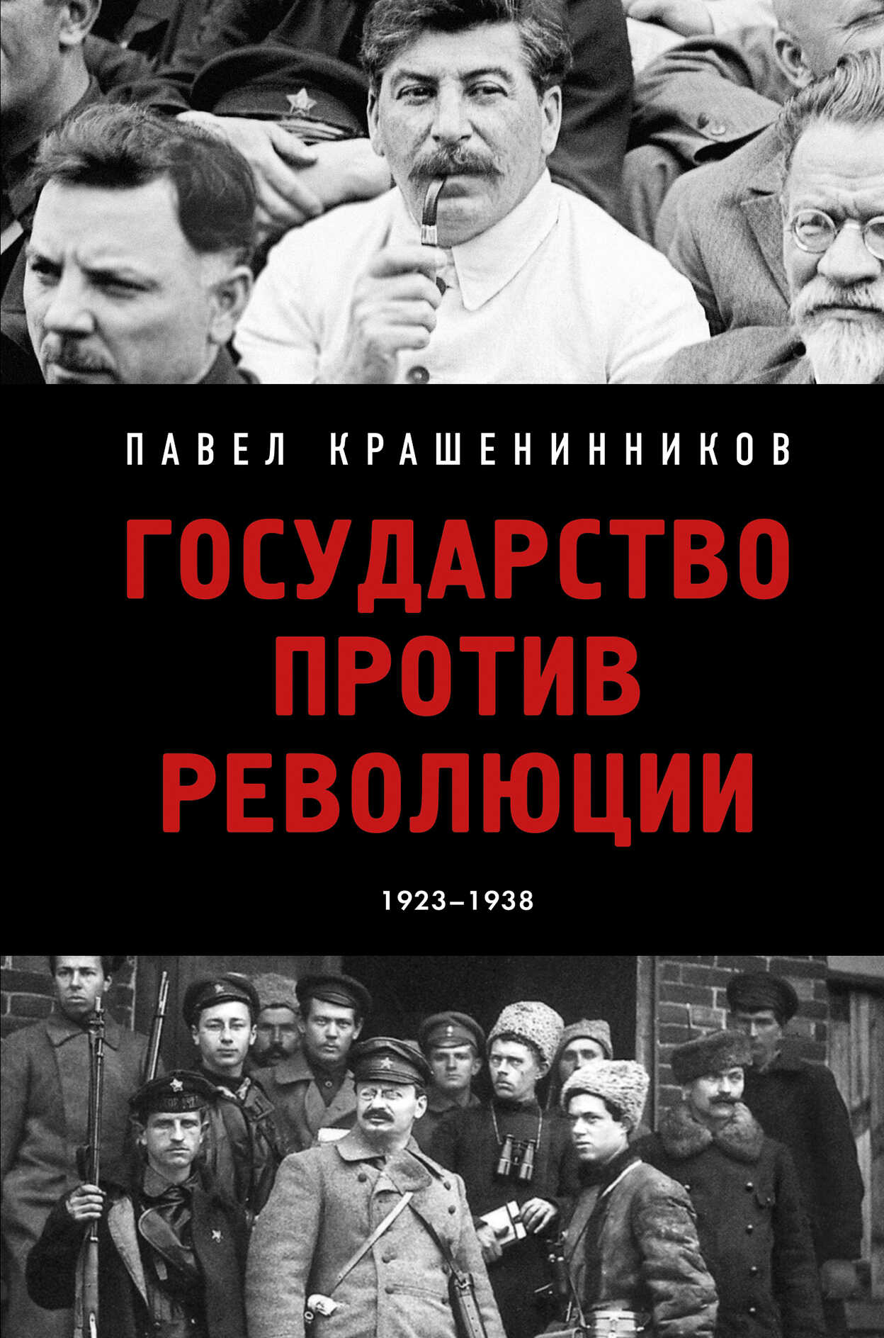 Государство против революции - Павел Владимирович Крашенинников