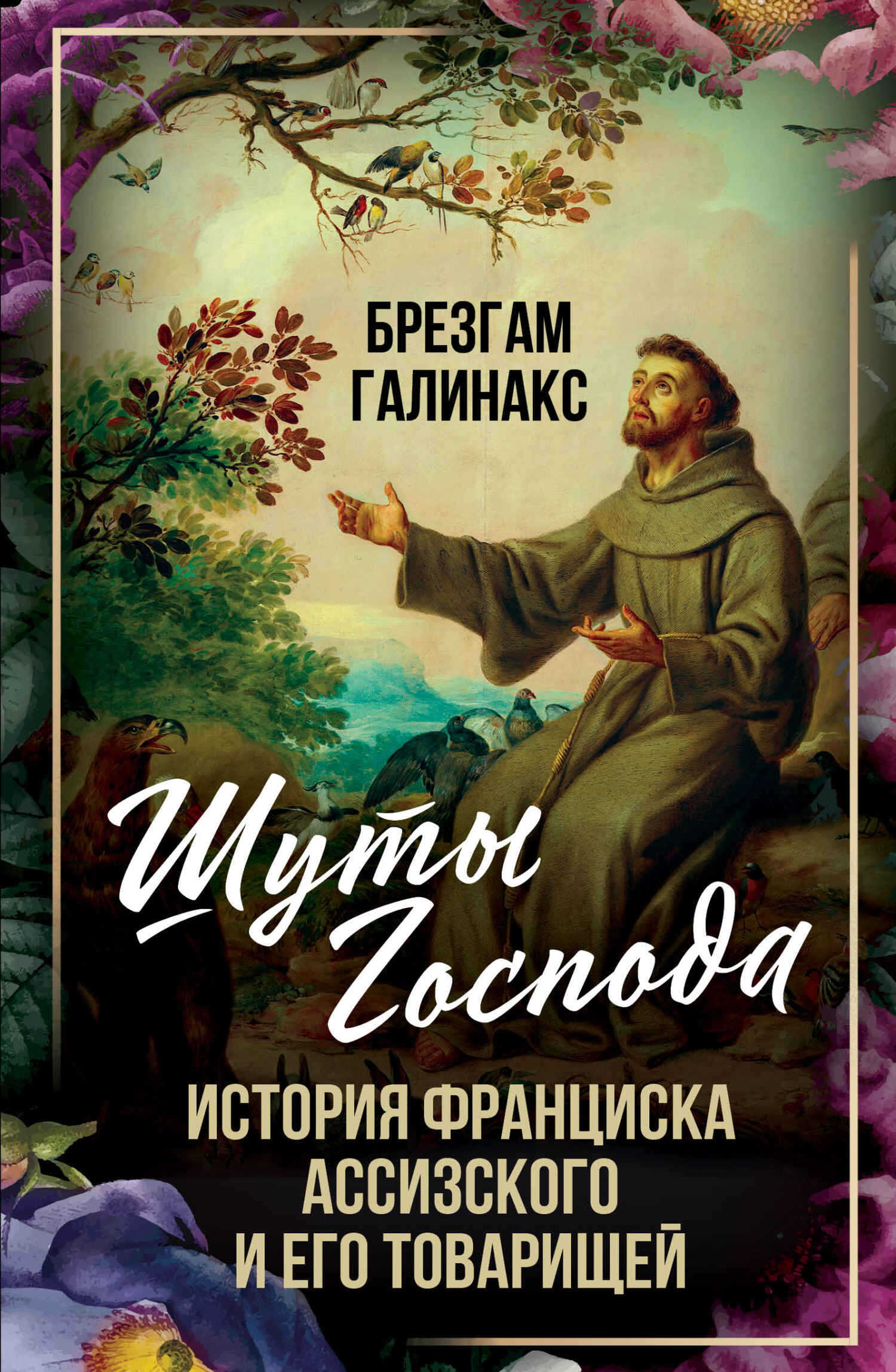 Шуты Господа. История Франциска Ассизского и его товарищей - Брезгам Галинакс