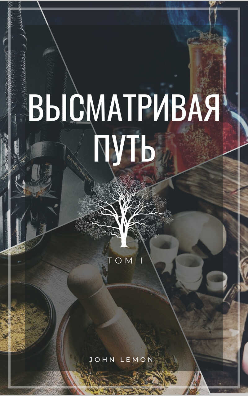 Высматривая путь. Том I  - John Lemon