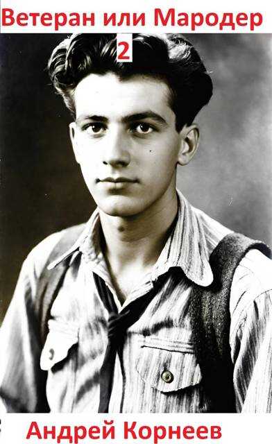 Ветеран или Мародер 2 - Андрей Корнеев