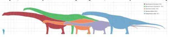 Тайна Луны - Игорь Зенин