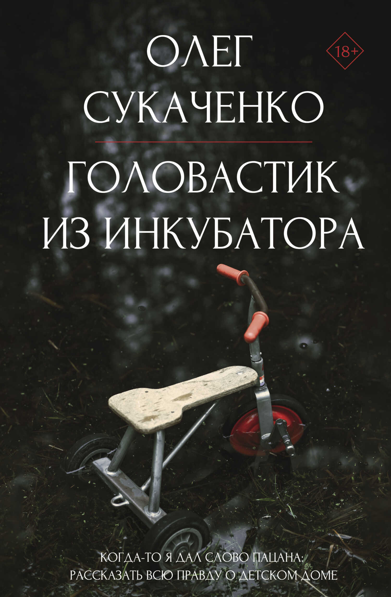 Головастик из инкубатора. Когда-то я дал слово пацана: рассказать всю правду о детском доме - Олег Андреевич Сукаченко