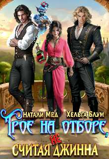Трое на отборе, не считая джинна - Хельга Блум